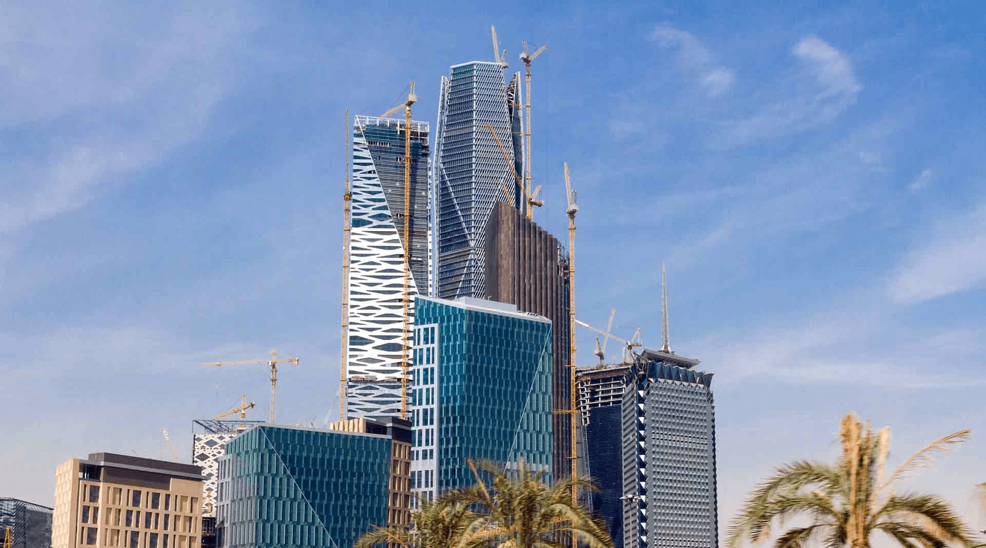 Enterprise Risk Management Director